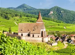 关于法国杯冲刺阶段走向成谜,萨克拉门托国王止住颓势,球迷炸锅,阵容厚度经受考验的信息 关于法国杯冲刺阶段走向成谜,萨克拉门托国王止住颓势,球迷炸锅,阵容厚度经受考验的信息